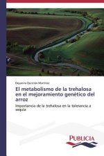 metabolismo de la trehalosa en el mejoramiento genetico del arroz
