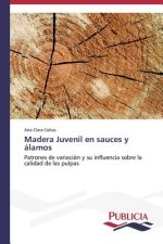Madera Juvenil en sauces y alamos