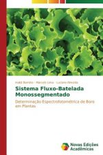 Sistema Fluxo-Batelada Monossegmentado