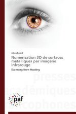 Numerisation 3D de Surfaces Metalliques Par Imagerie Infrarouge