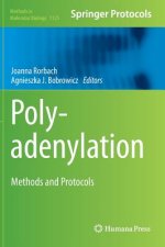 Polyadenylation