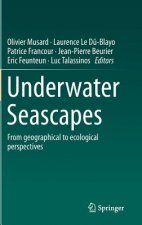 Underwater Seascapes