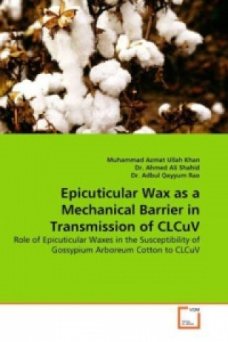 Epicuticular Wax as a Mechanical Barrier in Transmission of CLCuV