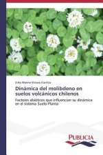 Dinamica del molibdeno en suelos volcanicos chilenos