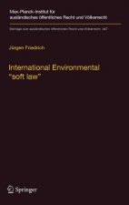 International Environmental 