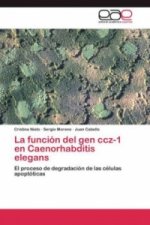 funcion del gen ccz-1 en Caenorhabditis elegans