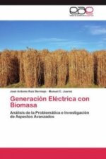 Generacion Electrica con Biomasa
