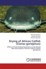 Drying of African Catfish (Clarias gariepinus)