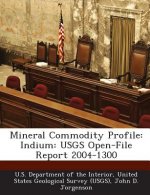 Mineral Commodity Profile: Indium: USGS Open-File Report 2004-1300