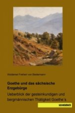 Goethe und das sächsische Erzgebürge