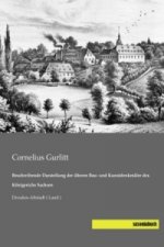 Beschreibende Darstellung der älteren Bau- und Kunstdenkmäler des Königreichs Sachsen