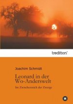 Leonard in der Wo-Anderswelt