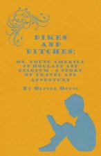 Dikes And Ditches; Or, Young America In Holland And Belgium - A Story Of Travel And Adventure