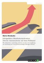 Erfolgsfaktor Mitarbeitermotivation: Diverse Anreizsysteme auf dem Prüfstand