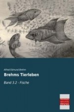Brehms Tierleben. Bd.3.2