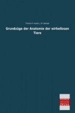 Grundzüge der Anatomie der wirbellosen Tiere