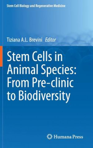 Stem Cells in Animal Species: From Pre-clinic to Biodiversity