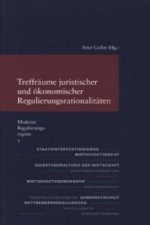 Treffräume juristischer und ökonomischer Regulierungsrationalitäten