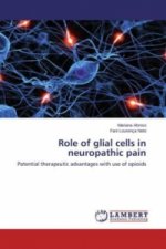 Role of glial cells in neuropathic pain