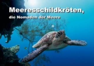 Meeresschildkröten, die Nomaden der Meere (Posterbuch DIN A4 quer)