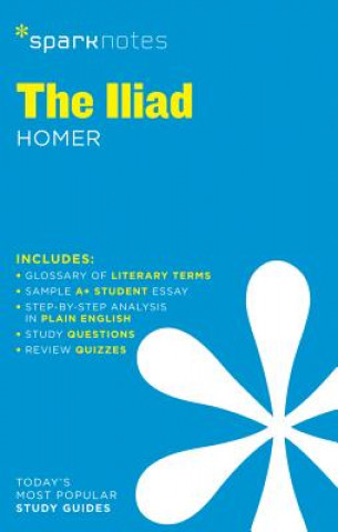 Iliad Sparknotes Literature Guide