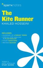 Kite Runner (SparkNotes Literature Guide)