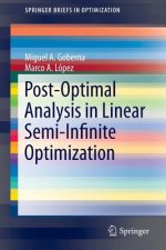 Post-Optimal Analysis in Linear Semi-Infinite Optimization, 1
