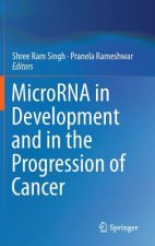 MicroRNA in Development and in the Progression of Cancer