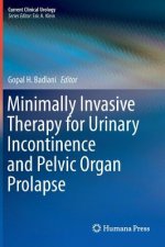 Minimally Invasive Therapy for Urinary Incontinence and Pelvic Organ Prolapse