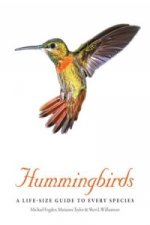 Hummingbirds