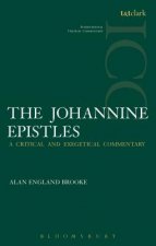 Johannine Epistles (ICC)