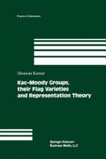 Kac-Moody Groups, their Flag Varieties and Representation Theory