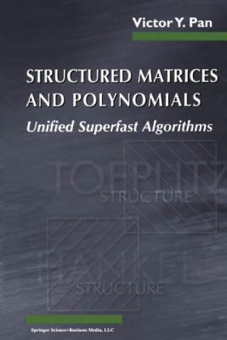 Structured Matrices and Polynomials