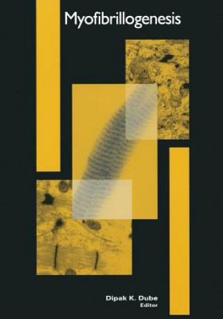 Myofibrillogenesis, 1