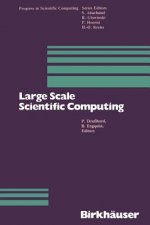 Large Scale Scientific Computing