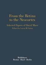 From the Retina to the Neocortex