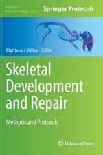Skeletal Development and Repair
