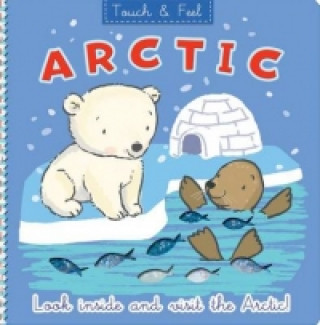Touch & Feel Arctic