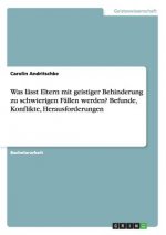Was lasst Eltern mit geistiger Behinderung zu schwierigen Fallen werden? Befunde, Konflikte, Herausforderungen