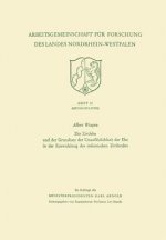 Zivilehe Und Der Grundsatz Der Unaufloeslichkeit Der Ehe in Der Entwicklung Des Italienischen Zivilrechts