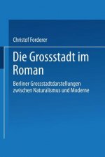 Die Grossstadt Im Roman