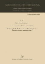 Berechnung Der Druckwellen in Brennstoffeinspritzsystemen Und in Hydraulischen Ventilsteuerungen