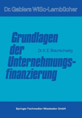 Grundlagen Der Unternehmungsfinanzierung