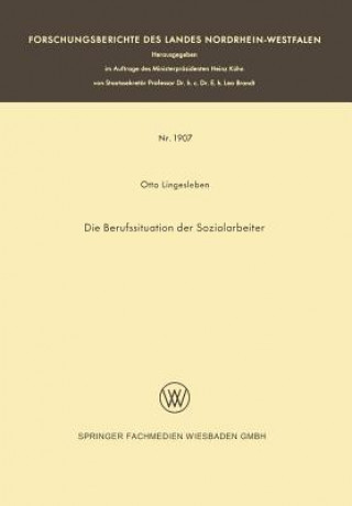 Die Berufssituation Der Sozialarbeiter