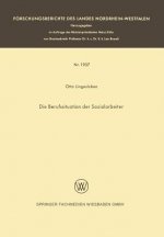 Die Berufssituation Der Sozialarbeiter