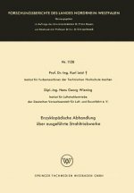 Enzyklopadische Abhandlung UEber Ausgefuhrte Strahltriebwerke