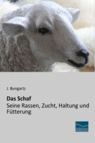 Das Schaf