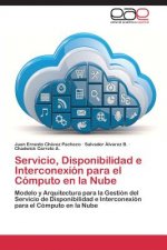 Servicio, Disponibilidad e Interconexion para el Computo en la Nube