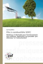 Pile A Combustible Sofc