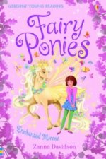 Fairy Ponies Enchanted Mirror